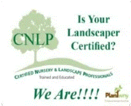 CNLP